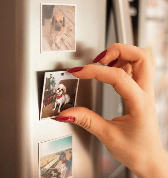 Fridge magnet